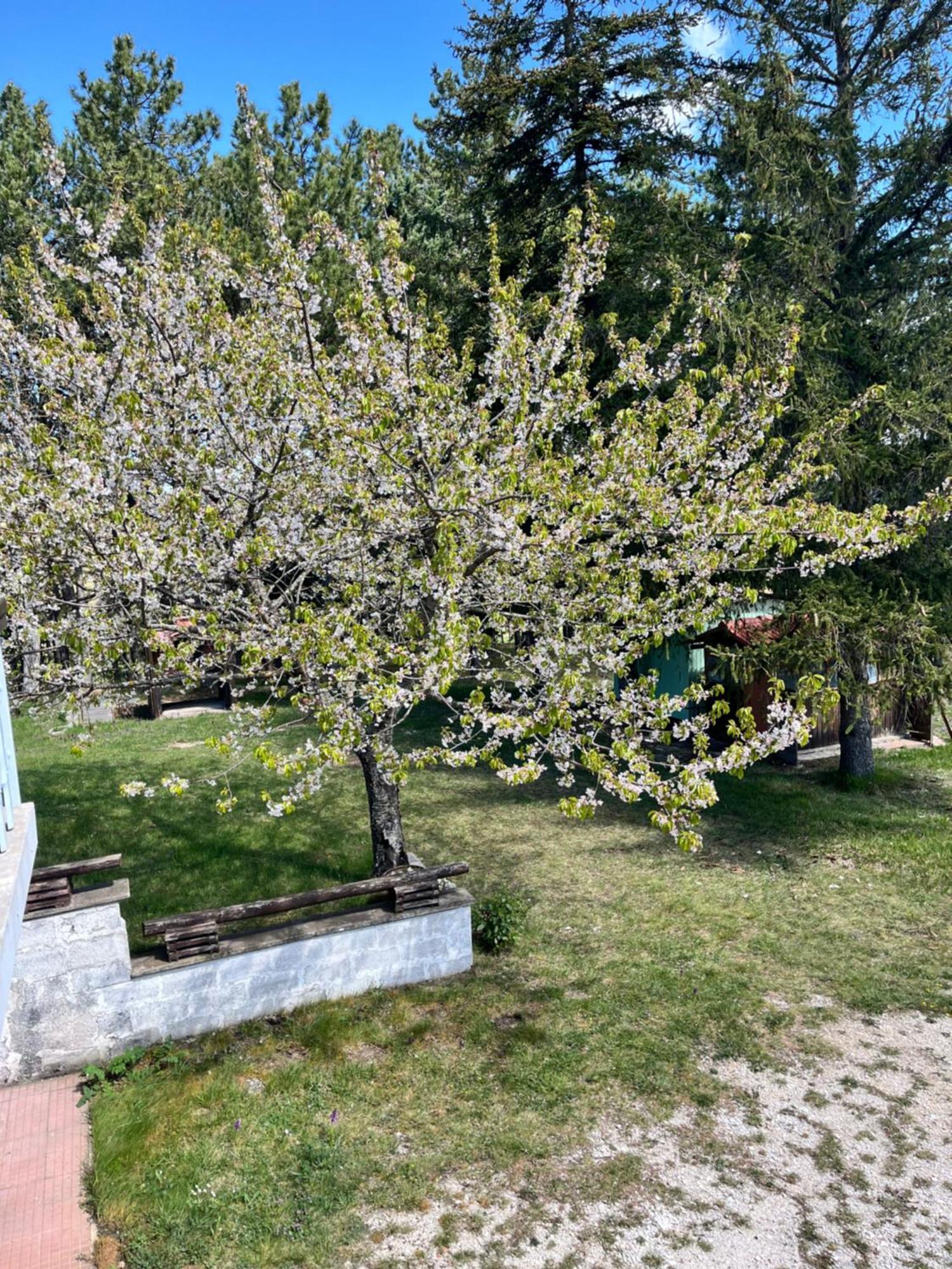 Chalet Ricciano Фоліньо Екстер'єр фото